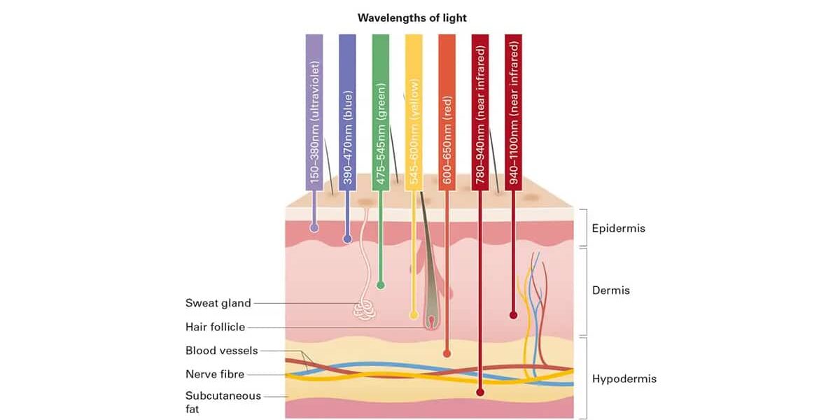 ความยาวคลื่นแสง LED แต่ละสี