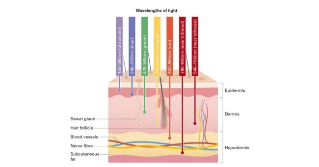 ความยาวคลื่นแสง LED แต่ละสี